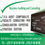 Business Auditing and Consulting