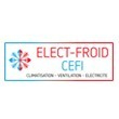 ELECT-FROID / CEFI 