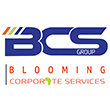 BCS GROUP 