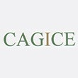 CAGICE (CABINET D'ASSISTANCE EN GESTION INFORMATIQUE ET COMPTABLE DES ENTREPRISES) 