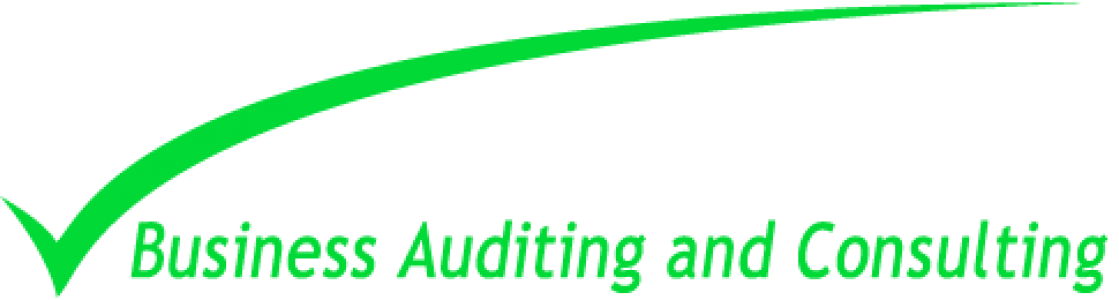 Business Auditing and Consulting 