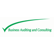 BUSINESS AUDITING AND CONSULTING 