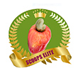 SCOOPS ELITE 